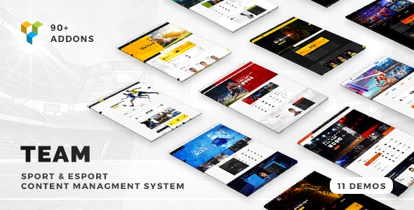 Team v5.0.17 - Soccer, Football, Hockey, Basketball Club &amp; eSport Gaming WordPress Theme