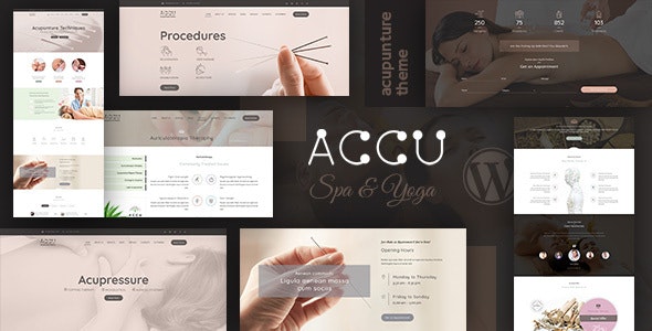 Accu v2.4 - Healthcare, Massage Theme