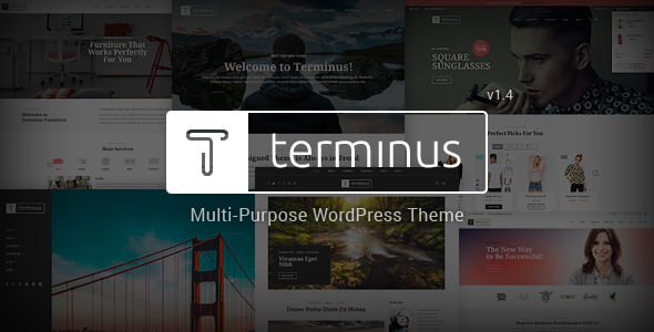 Terminus v1.4.4 - Responsive Multi-Purpose WordPress Theme