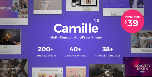 Camille v1.1.2 - Multi-Concept WordPress Theme