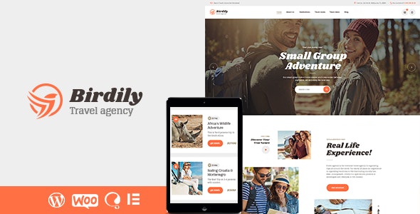 Birdily v1.0.3 - Travel Agency & Tour Booking WordPress Theme