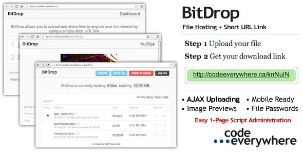 BitDrop - File Hosting with Short URL Link