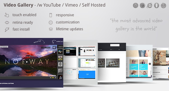 Video Gallery WordPress Plugin /w YouTube, Vimeo v9.69