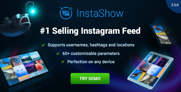 Instagram Feed v2.5.0 - WordPress Gallery for Instagram