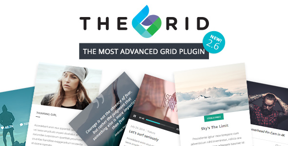 The Grid v2.6.0 - Responsive WordPress Grid Plugin
