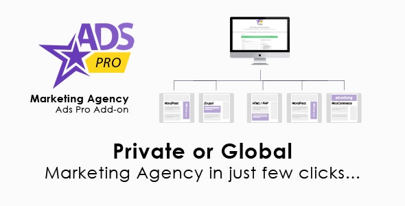 Ads Pro Add-on v1.9.2 - WordPress Marketing Agency